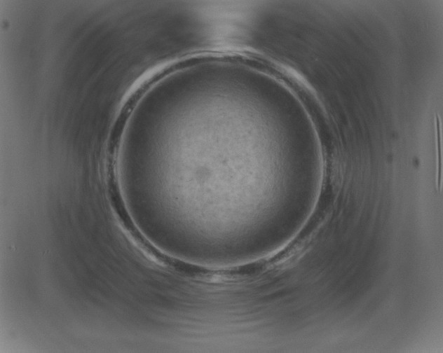X0000081331412200701111347