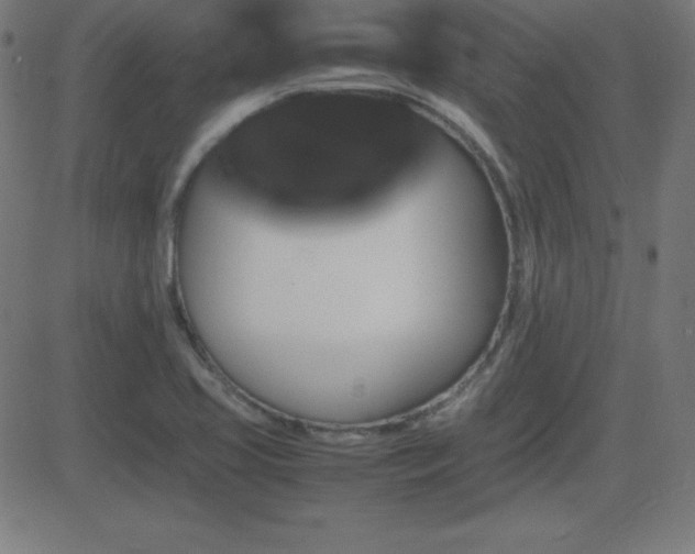 X0000081331413200701111347