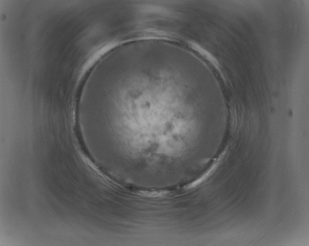 X0000081331415200701111347