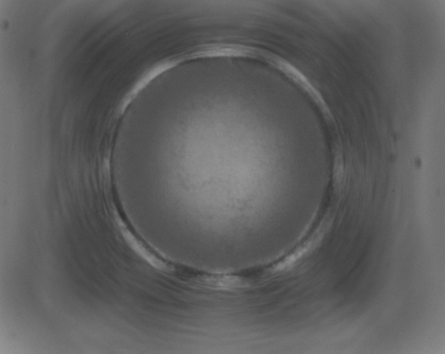 X0000081331417200701111347
