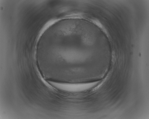 X0000081331421200701111347