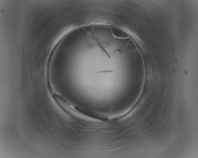 X0000081331423200701111347