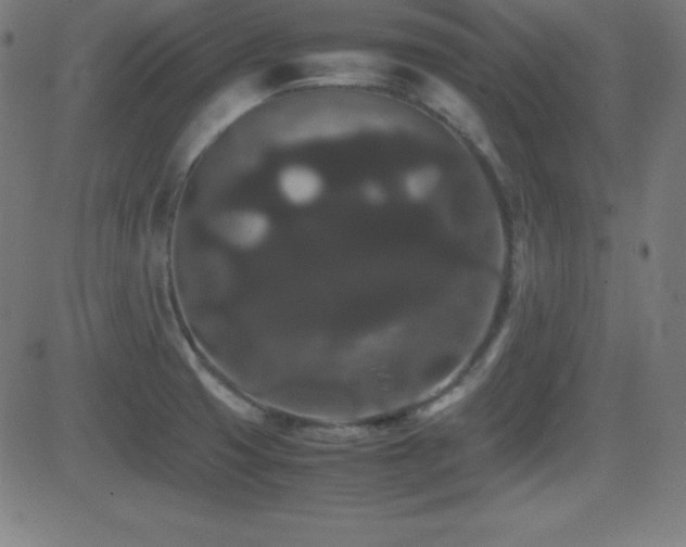 X0000081331425200701111347