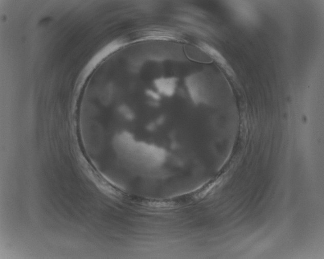 X0000081331427200701111347