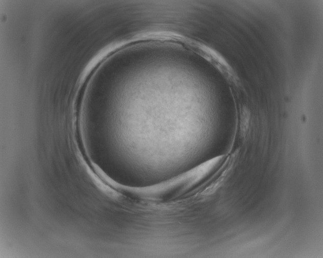 X0000081331430200701111347