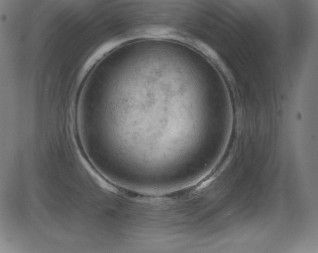 X0000081331432200701111347