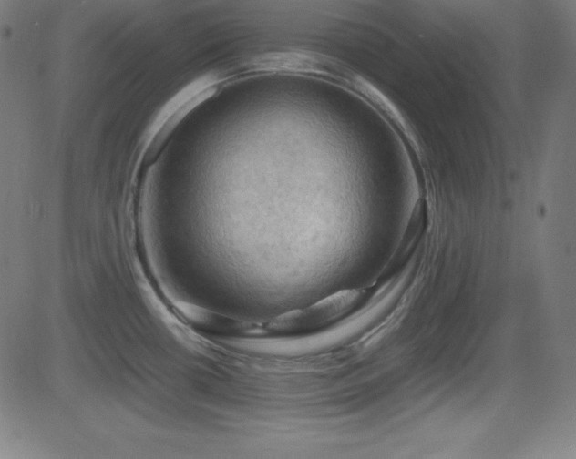 X0000081331434200701111347