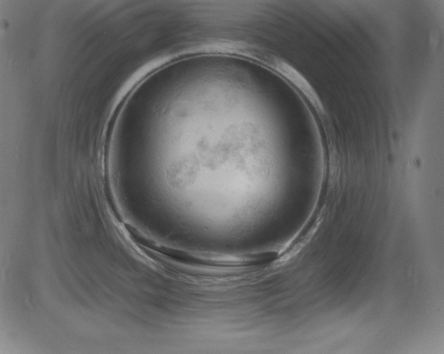 X0000081331436200701111347