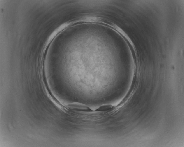 X0000081331437200701111348