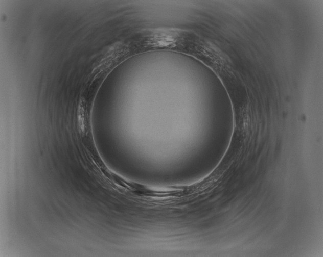 X0000081331442200701111347