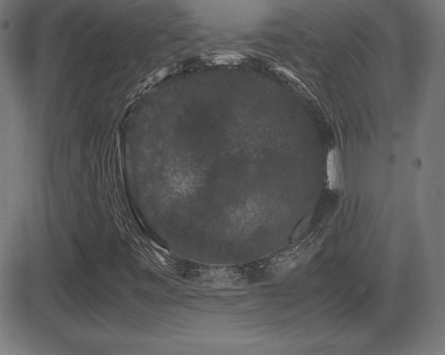 X0000081331443200701111347