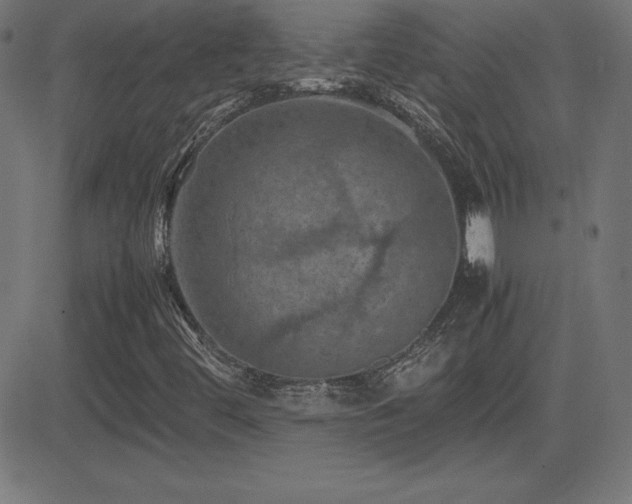 X0000081331444200701111347