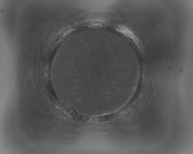 X0000081331445200701111347