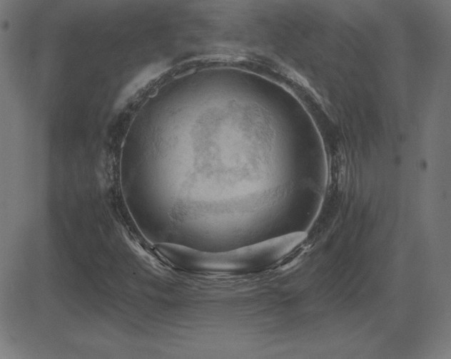 X0000081331448200701111347