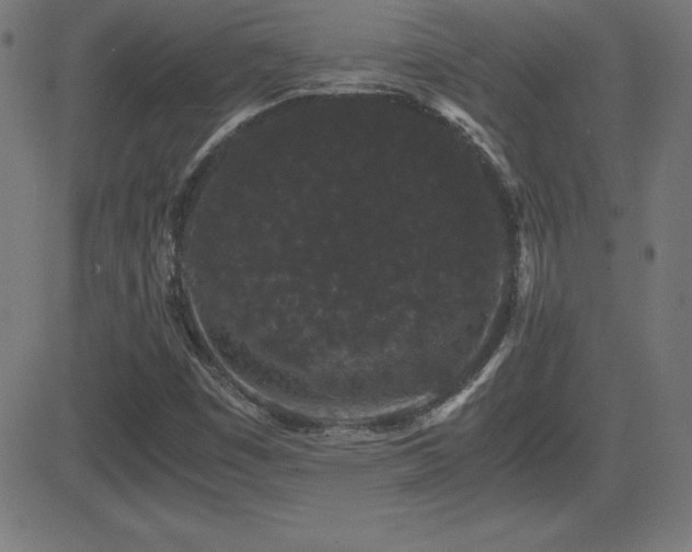 X0000081331449200701111347