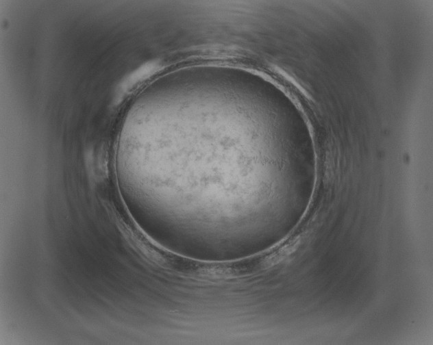 X0000081331451200701111347