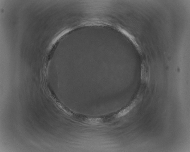 X0000081331453200701111347