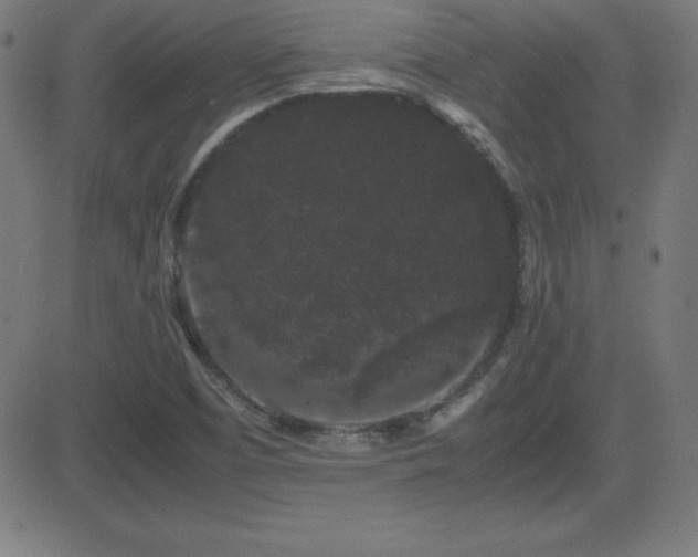 X0000081331457200701111347