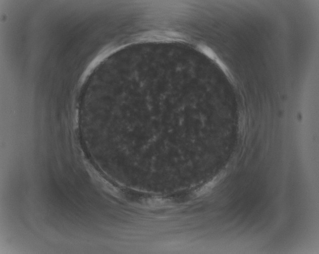 X0000081331459200701111346