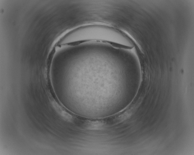 X0000081331460200701111346
