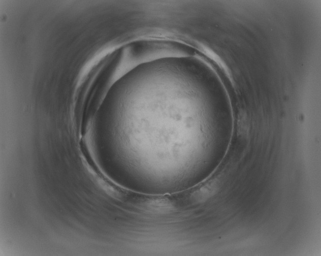 X0000081331464200701111346