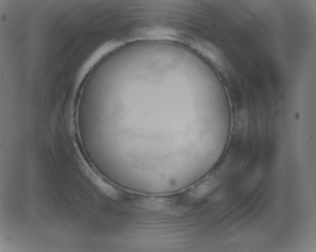 X0000081331470200701111346