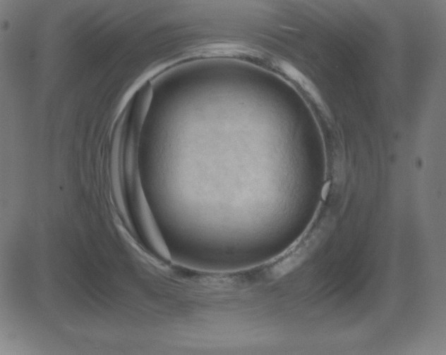 X0000081331473200701111346