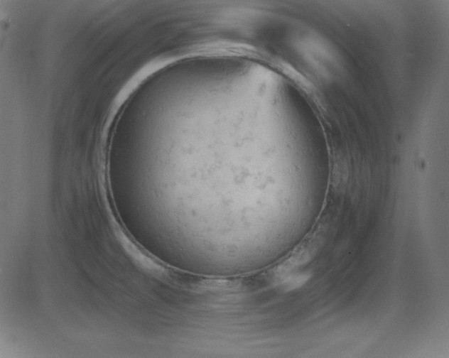 X0000081331478200701111346