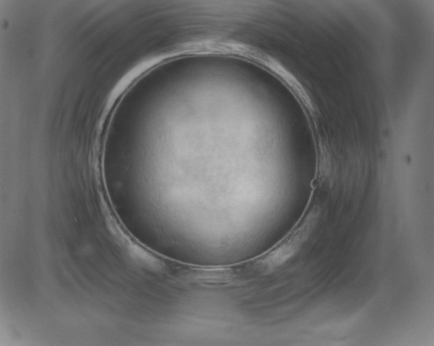 X0000081331486200701111346