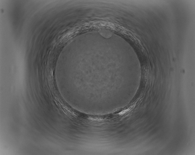 X0000081331489200701111345