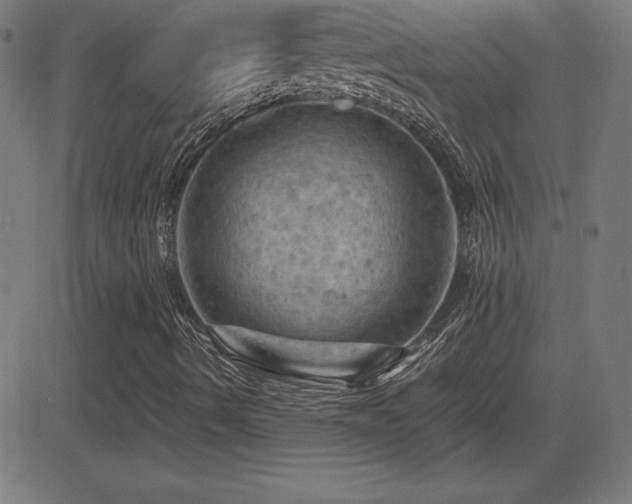 X0000081331490200701111345