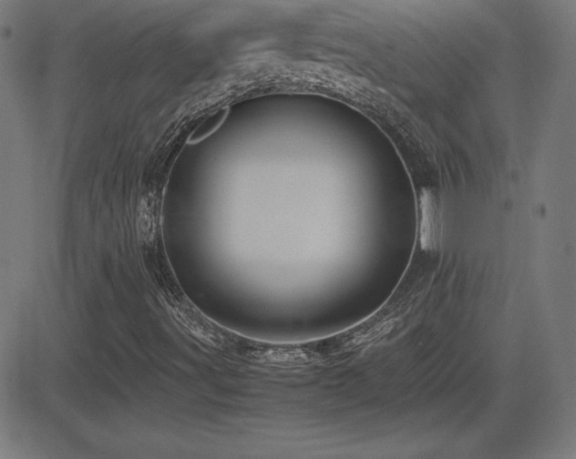 X0000081331491200701111345