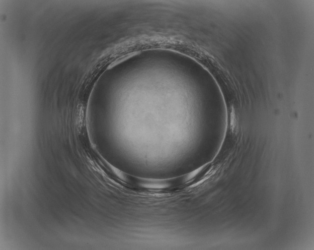 X0000081331492200701111345