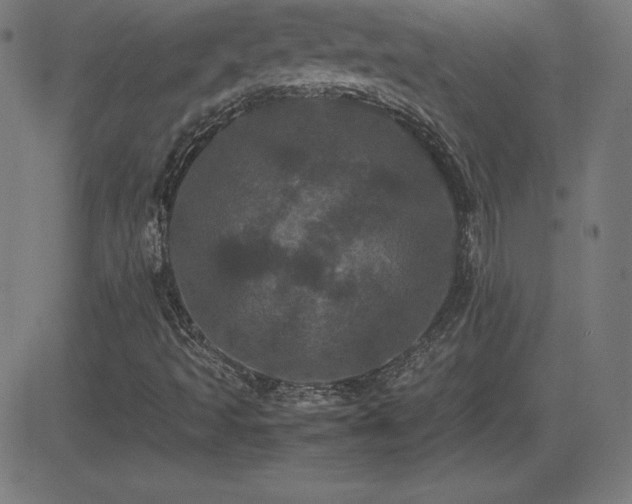 X0000081331493200701111345