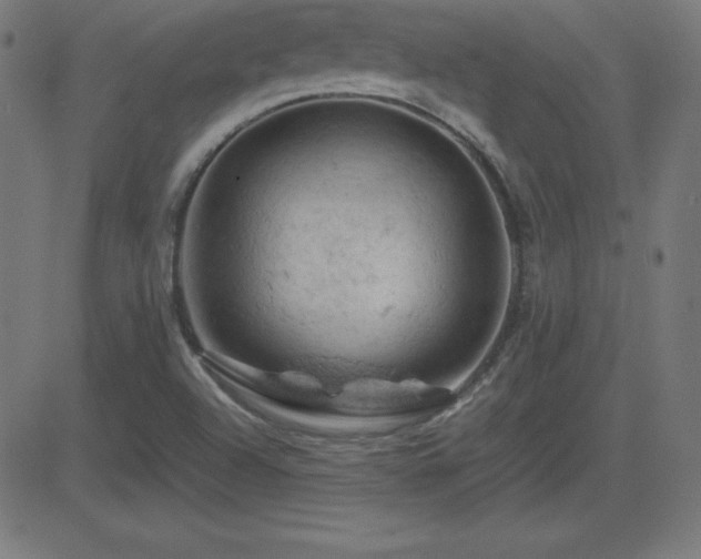 X0000081331504200701111345