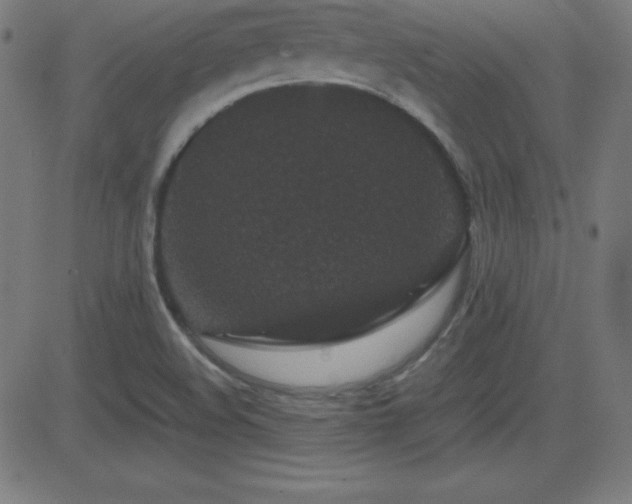 X0000081331508200701111346