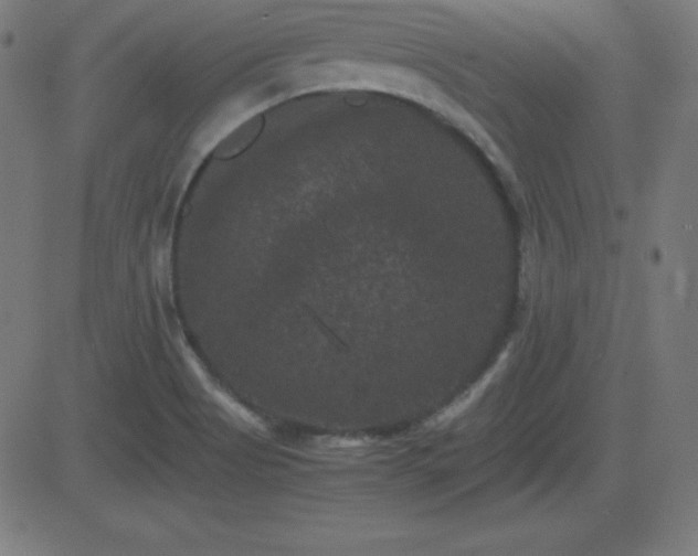 X0000081331513200701111346