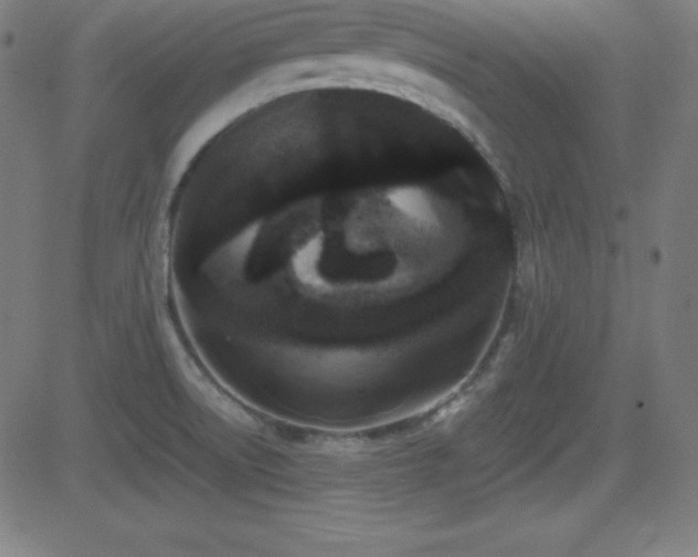 X0000081331522200701111346
