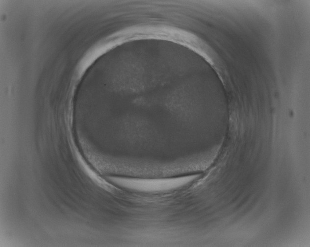 X0000081331523200701111346