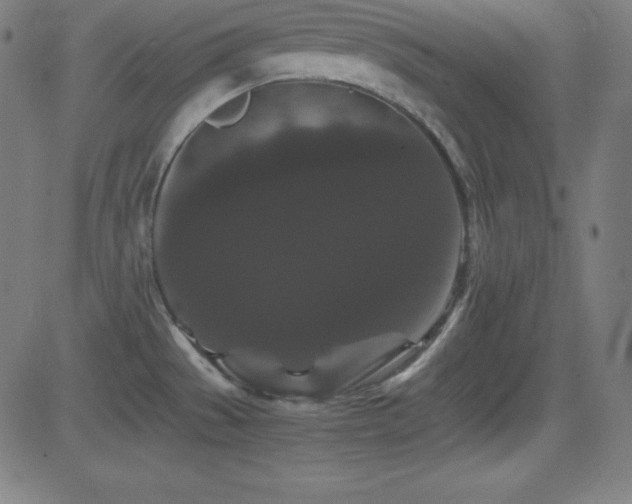 X0000081331529200701111346