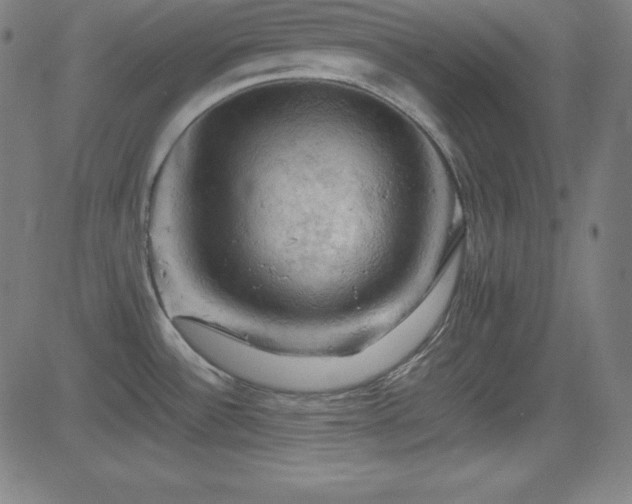 X0000081331532200701111346