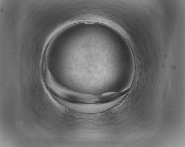 X0000081331536200701111346