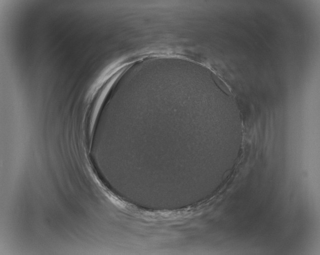 X0000081330005200701182006