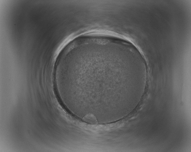 X0000081330007200701182006