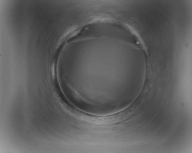 X0000081330019200701182006