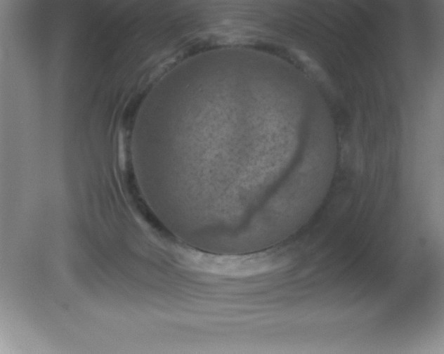 X0000081330026200701182006