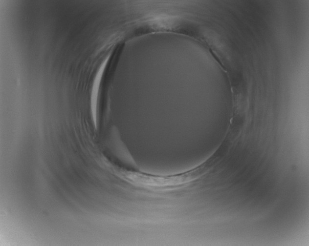 X0000081330027200701182006