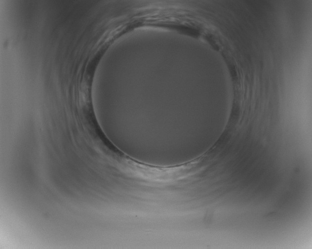 X0000081330035200701182006