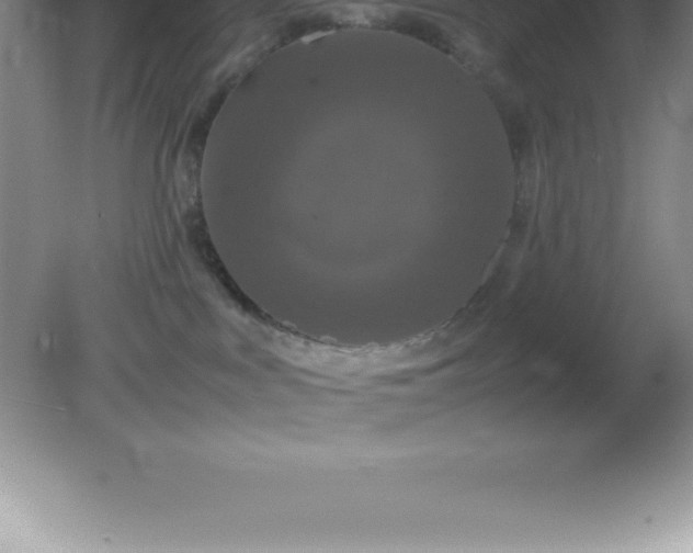 X0000081330043200701182006