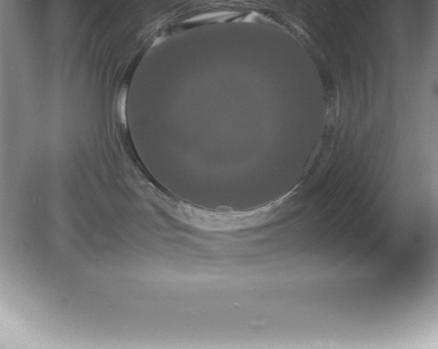 X0000081330047200701182006
